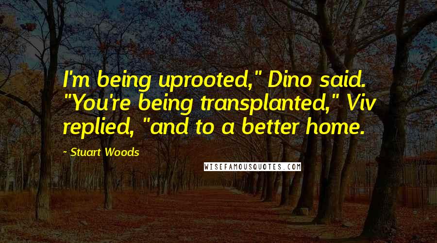 Stuart Woods Quotes: I'm being uprooted," Dino said. "You're being transplanted," Viv replied, "and to a better home.