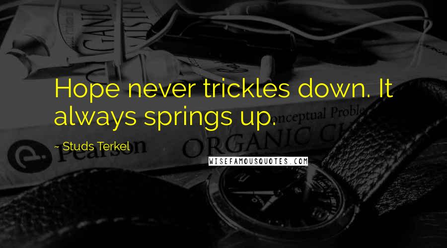 Studs Terkel Quotes: Hope never trickles down. It always springs up.
