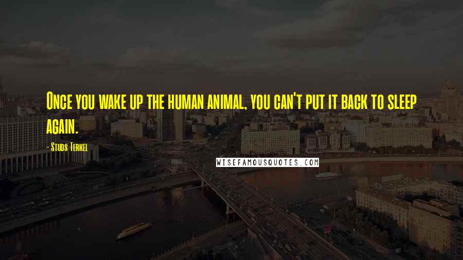 Studs Terkel Quotes: Once you wake up the human animal, you can't put it back to sleep again.