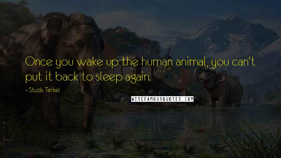 Studs Terkel Quotes: Once you wake up the human animal, you can't put it back to sleep again.