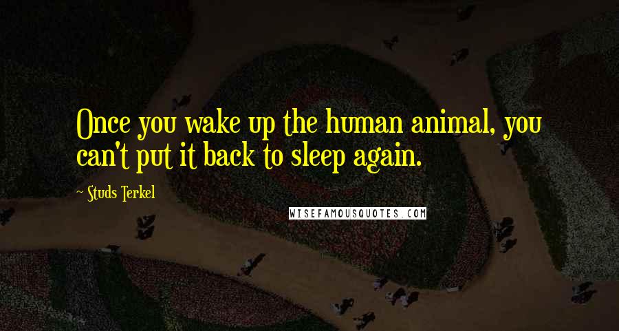 Studs Terkel Quotes: Once you wake up the human animal, you can't put it back to sleep again.