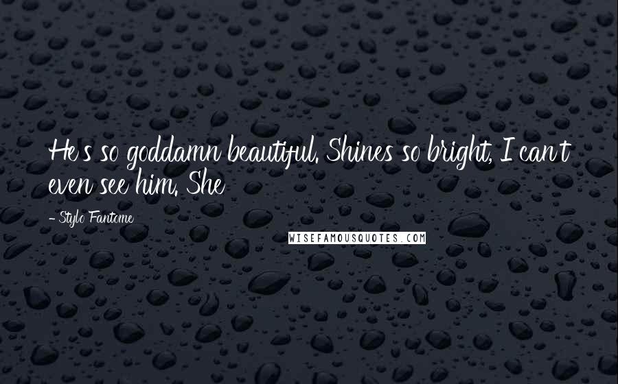 Stylo Fantome Quotes: He's so goddamn beautiful. Shines so bright, I can't even see him. She