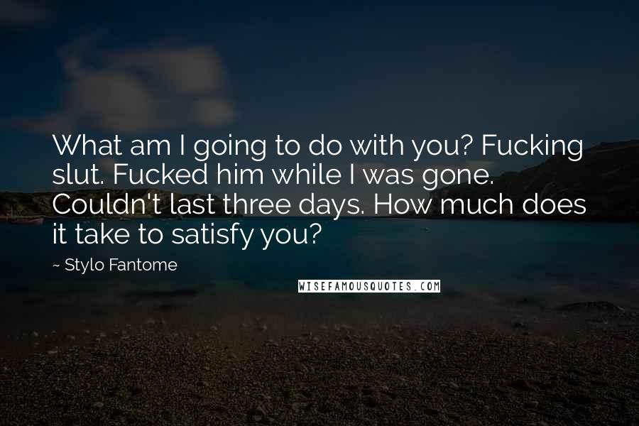 Stylo Fantome Quotes: What am I going to do with you? Fucking slut. Fucked him while I was gone. Couldn't last three days. How much does it take to satisfy you?