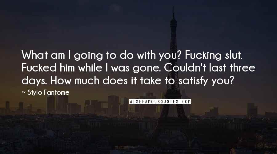 Stylo Fantome Quotes: What am I going to do with you? Fucking slut. Fucked him while I was gone. Couldn't last three days. How much does it take to satisfy you?