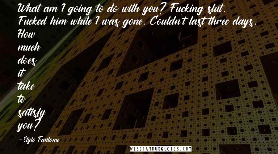 Stylo Fantome Quotes: What am I going to do with you? Fucking slut. Fucked him while I was gone. Couldn't last three days. How much does it take to satisfy you?