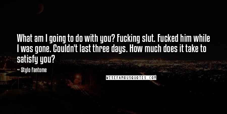 Stylo Fantome Quotes: What am I going to do with you? Fucking slut. Fucked him while I was gone. Couldn't last three days. How much does it take to satisfy you?