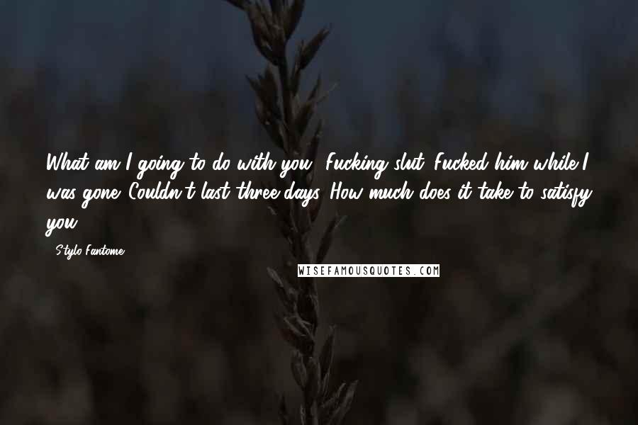 Stylo Fantome Quotes: What am I going to do with you? Fucking slut. Fucked him while I was gone. Couldn't last three days. How much does it take to satisfy you?