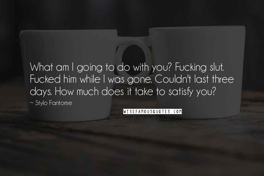 Stylo Fantome Quotes: What am I going to do with you? Fucking slut. Fucked him while I was gone. Couldn't last three days. How much does it take to satisfy you?