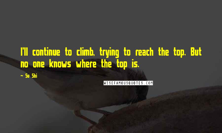 Su Shi Quotes: I'll continue to climb, trying to reach the top. But no one knows where the top is.