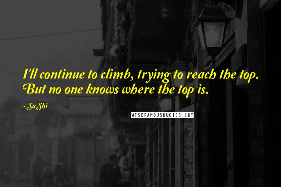 Su Shi Quotes: I'll continue to climb, trying to reach the top. But no one knows where the top is.