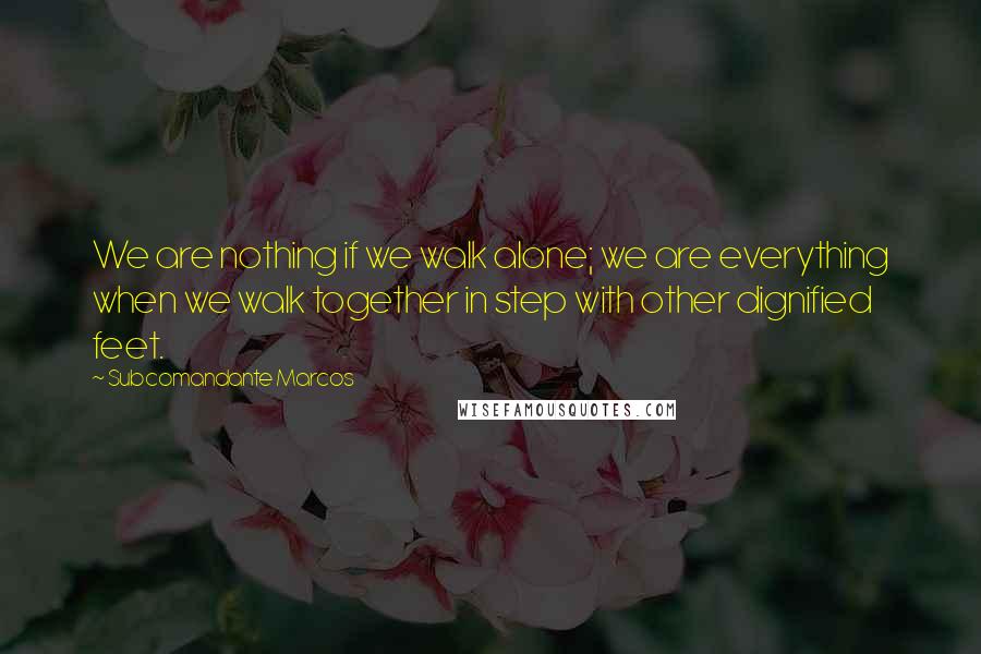 Subcomandante Marcos Quotes: We are nothing if we walk alone; we are everything when we walk together in step with other dignified feet.