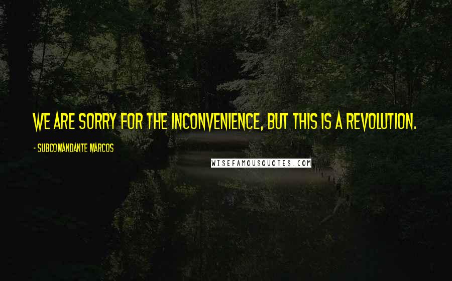 Subcomandante Marcos Quotes: We are sorry for the inconvenience, but this is a revolution.