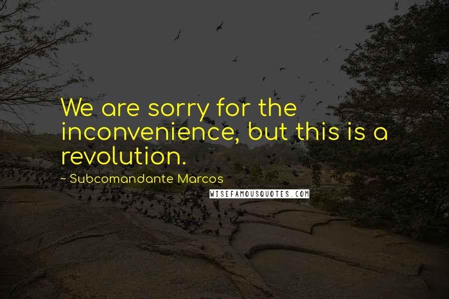 Subcomandante Marcos Quotes: We are sorry for the inconvenience, but this is a revolution.