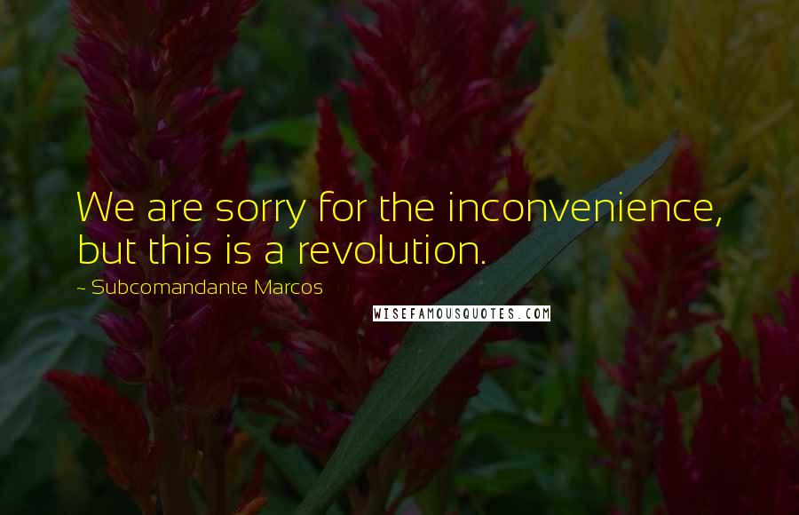 Subcomandante Marcos Quotes: We are sorry for the inconvenience, but this is a revolution.