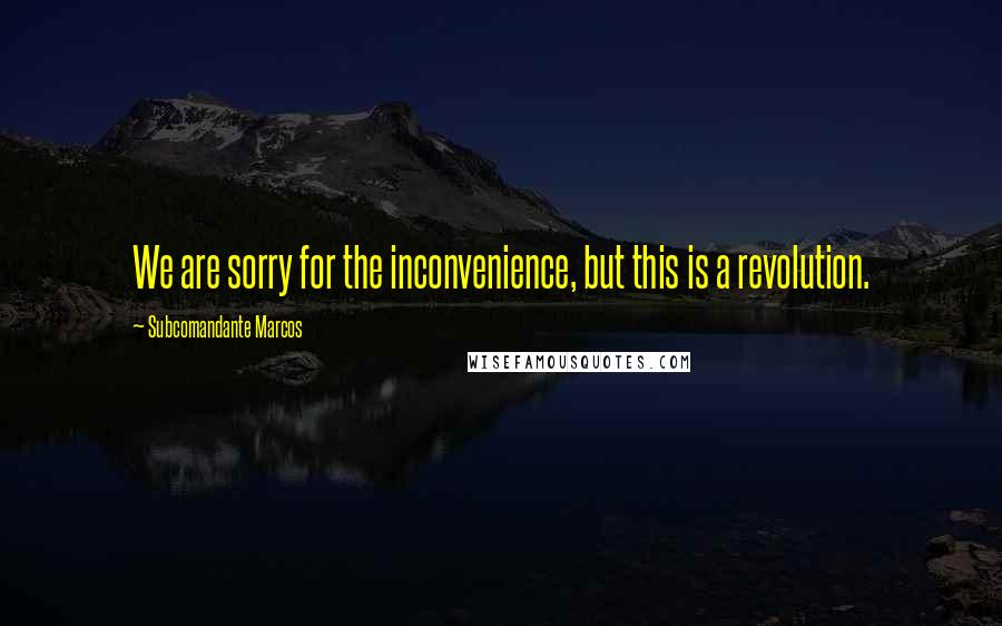 Subcomandante Marcos Quotes: We are sorry for the inconvenience, but this is a revolution.