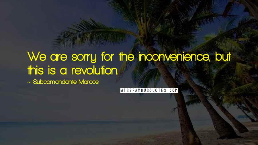 Subcomandante Marcos Quotes: We are sorry for the inconvenience, but this is a revolution.