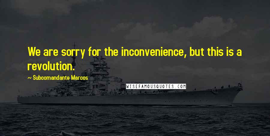 Subcomandante Marcos Quotes: We are sorry for the inconvenience, but this is a revolution.