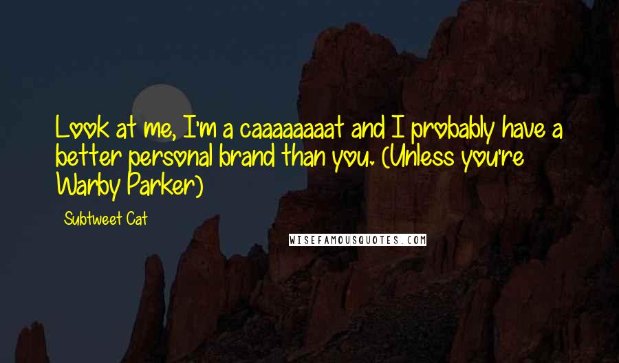 Subtweet Cat Quotes: Look at me, I'm a caaaaaaaat and I probably have a better personal brand than you. (Unless you're Warby Parker)