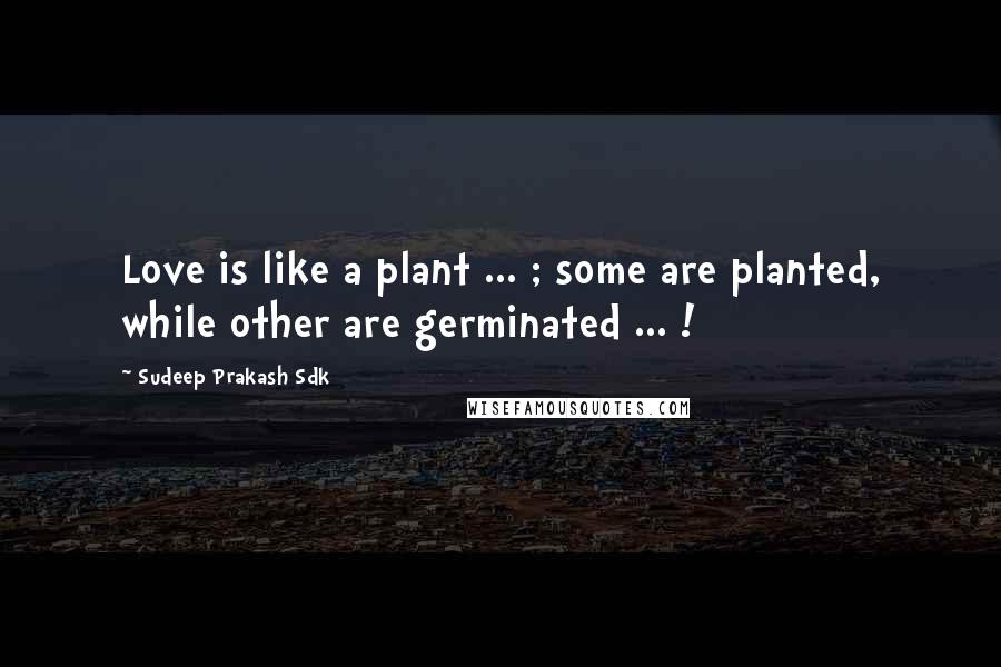 Sudeep Prakash Sdk Quotes: Love is like a plant ... ; some are planted, while other are germinated ... !