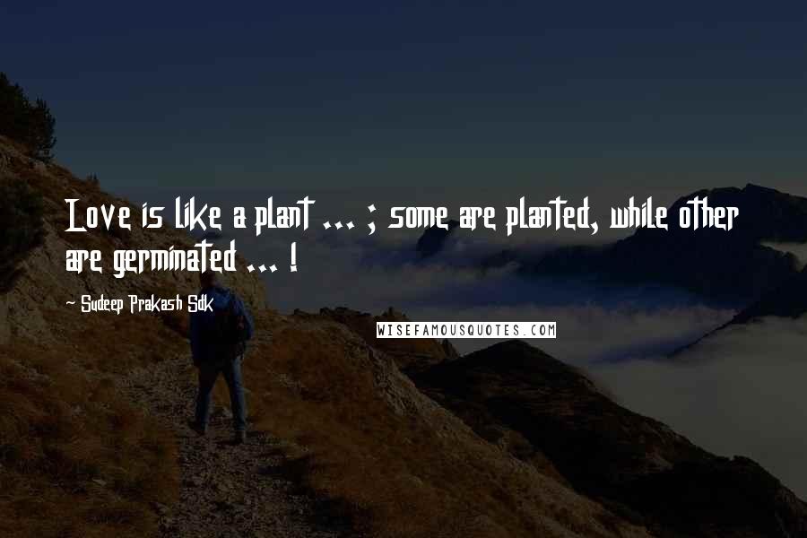 Sudeep Prakash Sdk Quotes: Love is like a plant ... ; some are planted, while other are germinated ... !