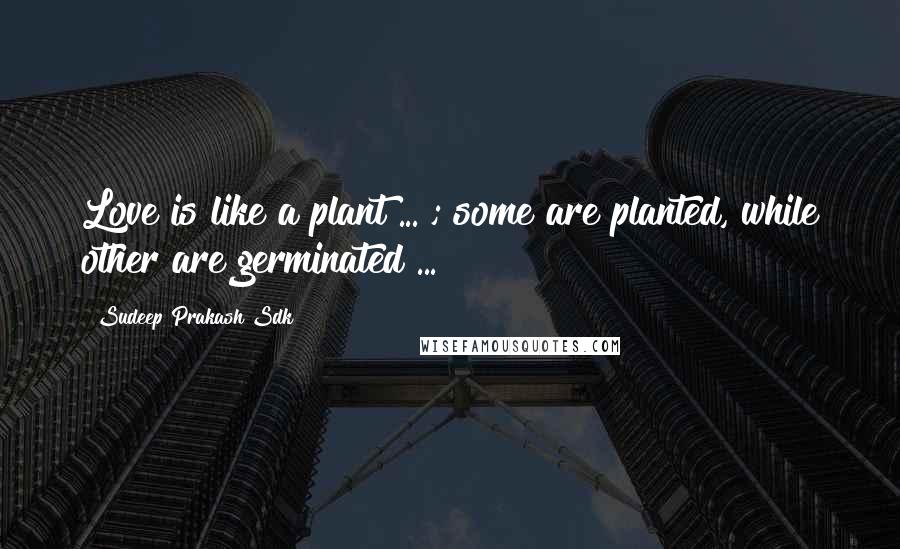 Sudeep Prakash Sdk Quotes: Love is like a plant ... ; some are planted, while other are germinated ... !