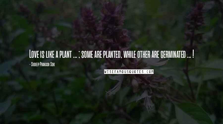 Sudeep Prakash Sdk Quotes: Love is like a plant ... ; some are planted, while other are germinated ... !