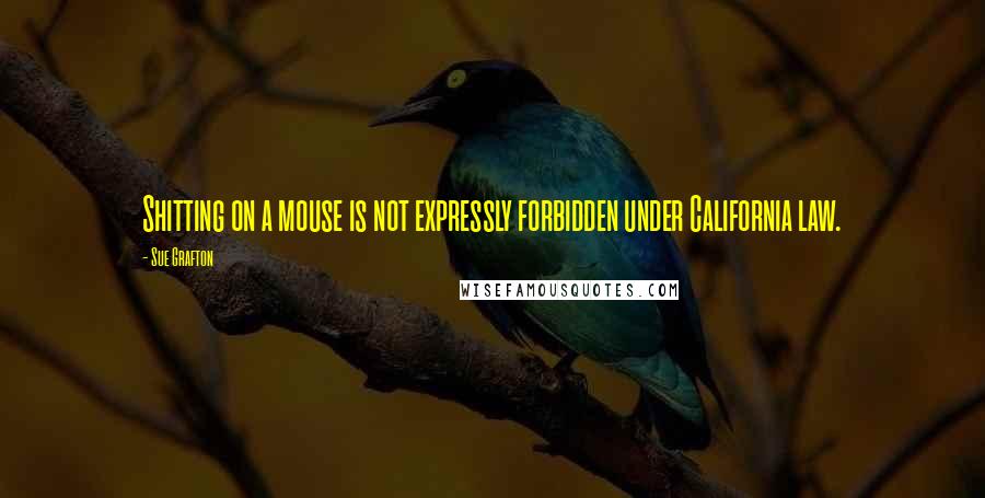 Sue Grafton Quotes: Shitting on a mouse is not expressly forbidden under California law.