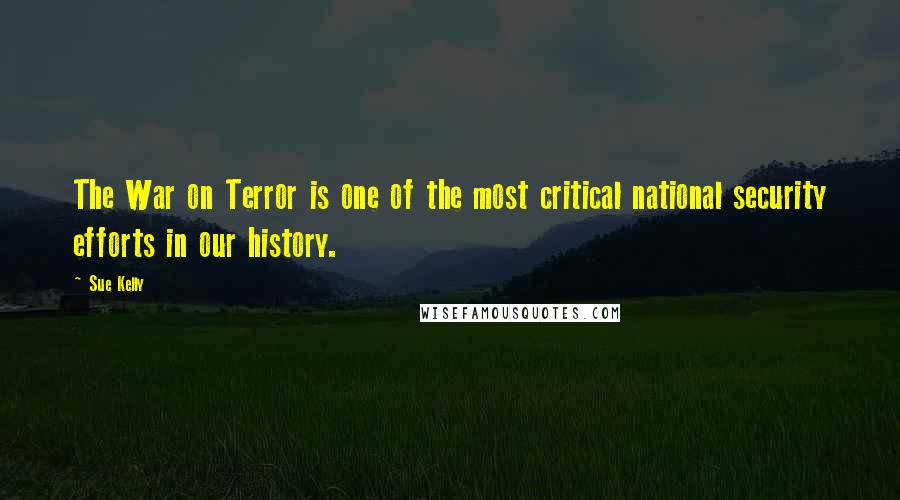 Sue Kelly Quotes: The War on Terror is one of the most critical national security efforts in our history.