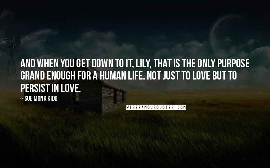 Sue Monk Kidd Quotes: And when you get down to it, Lily, that is the only purpose grand enough for a human life. Not just to love but to persist in love.