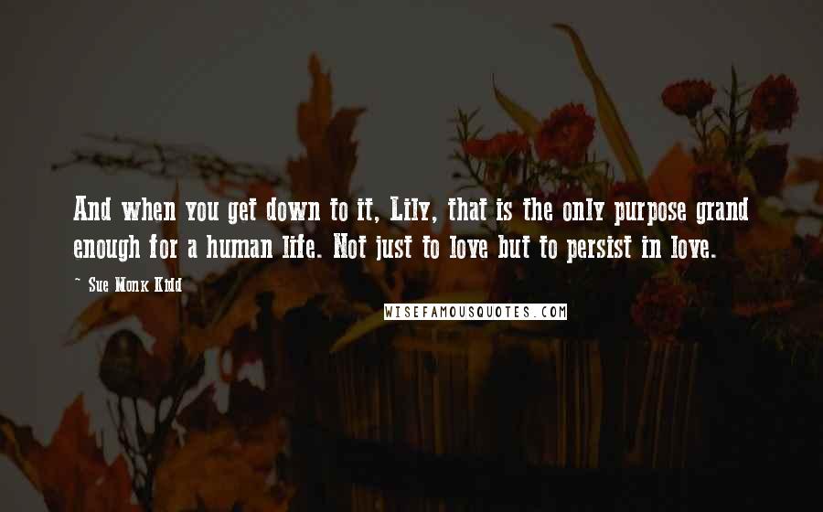 Sue Monk Kidd Quotes: And when you get down to it, Lily, that is the only purpose grand enough for a human life. Not just to love but to persist in love.