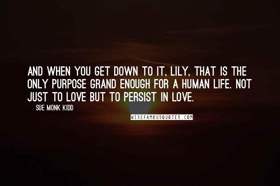 Sue Monk Kidd Quotes: And when you get down to it, Lily, that is the only purpose grand enough for a human life. Not just to love but to persist in love.