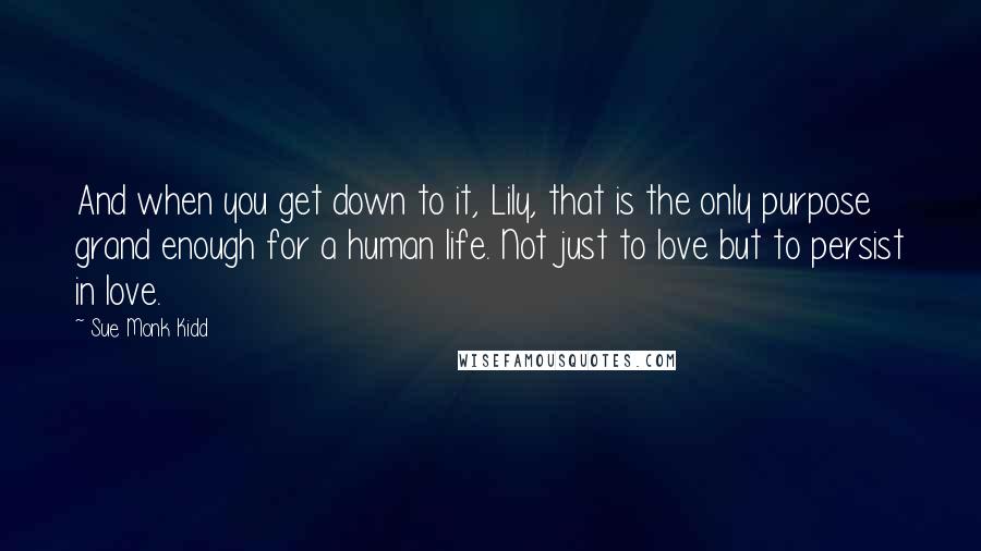 Sue Monk Kidd Quotes: And when you get down to it, Lily, that is the only purpose grand enough for a human life. Not just to love but to persist in love.