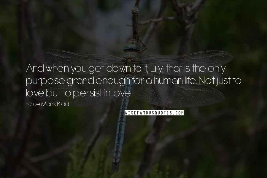 Sue Monk Kidd Quotes: And when you get down to it, Lily, that is the only purpose grand enough for a human life. Not just to love but to persist in love.