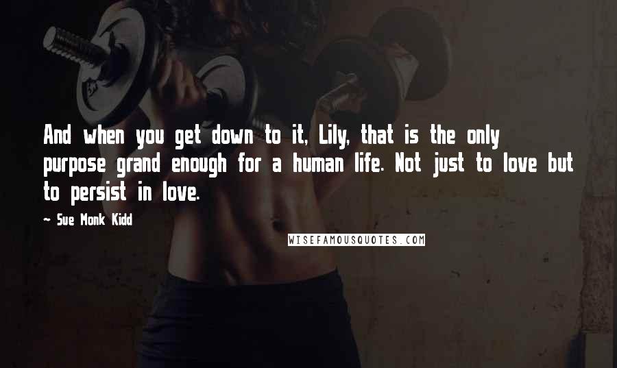 Sue Monk Kidd Quotes: And when you get down to it, Lily, that is the only purpose grand enough for a human life. Not just to love but to persist in love.