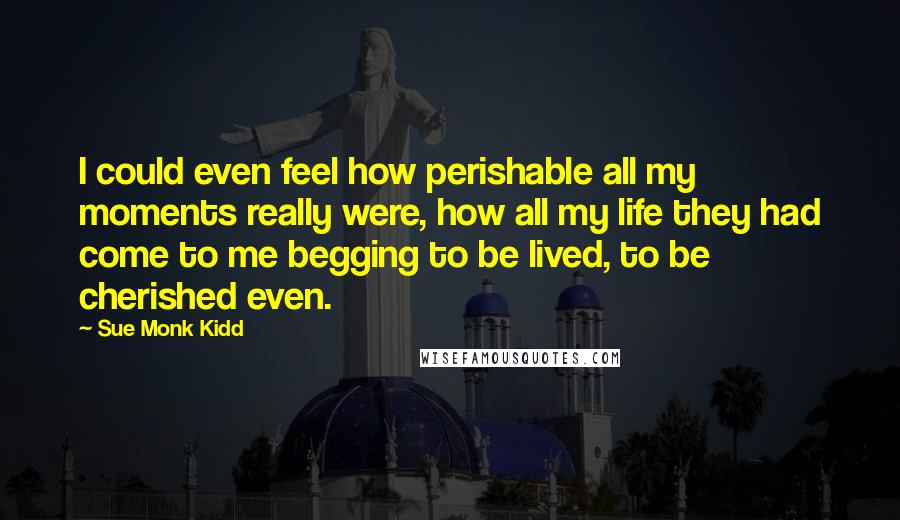 Sue Monk Kidd Quotes: I could even feel how perishable all my moments really were, how all my life they had come to me begging to be lived, to be cherished even.