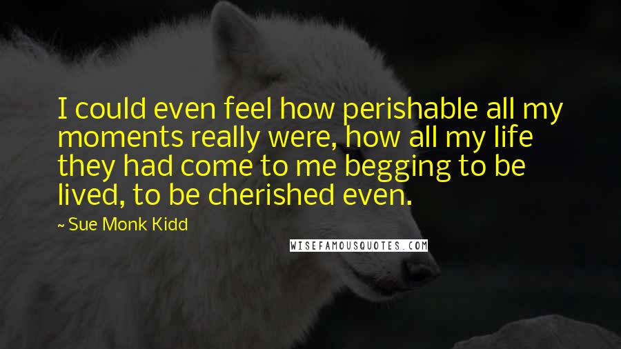 Sue Monk Kidd Quotes: I could even feel how perishable all my moments really were, how all my life they had come to me begging to be lived, to be cherished even.