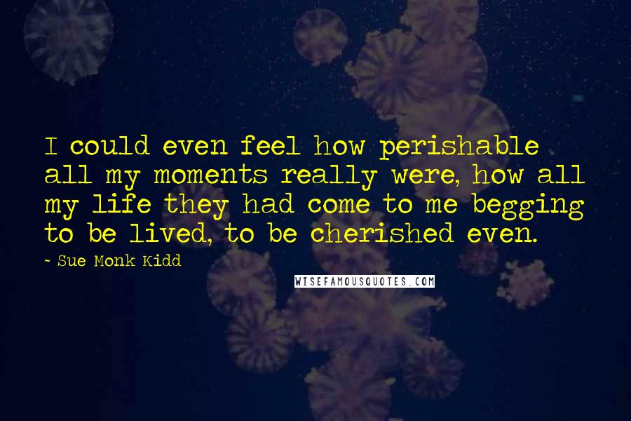 Sue Monk Kidd Quotes: I could even feel how perishable all my moments really were, how all my life they had come to me begging to be lived, to be cherished even.