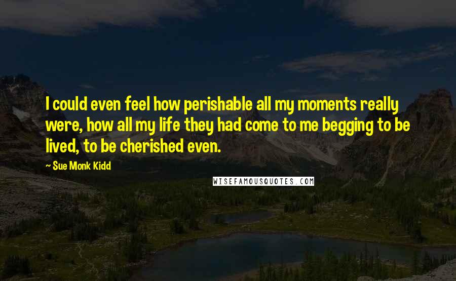 Sue Monk Kidd Quotes: I could even feel how perishable all my moments really were, how all my life they had come to me begging to be lived, to be cherished even.