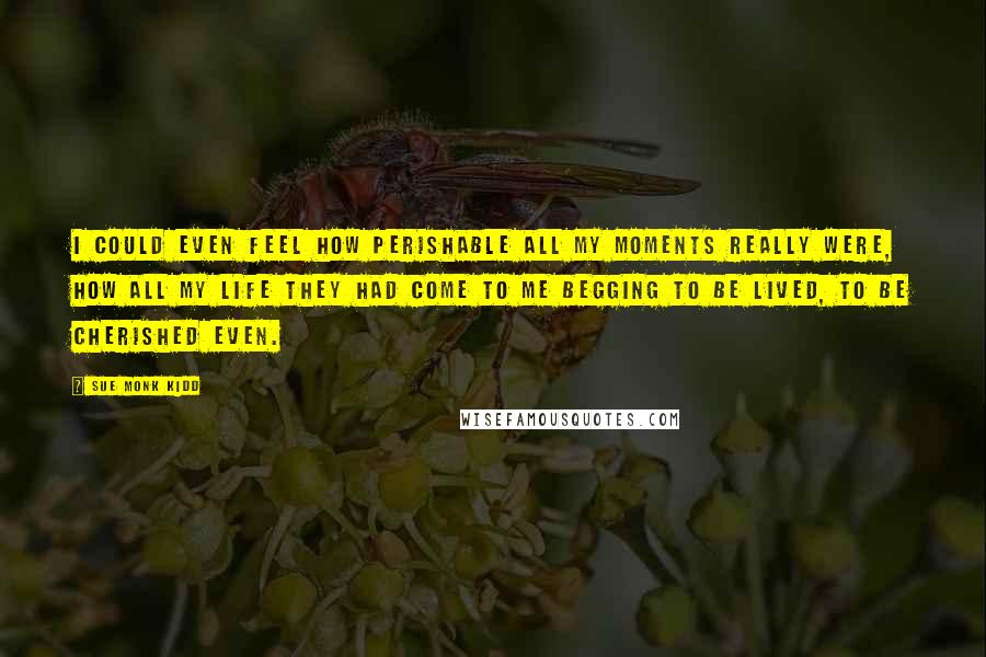 Sue Monk Kidd Quotes: I could even feel how perishable all my moments really were, how all my life they had come to me begging to be lived, to be cherished even.