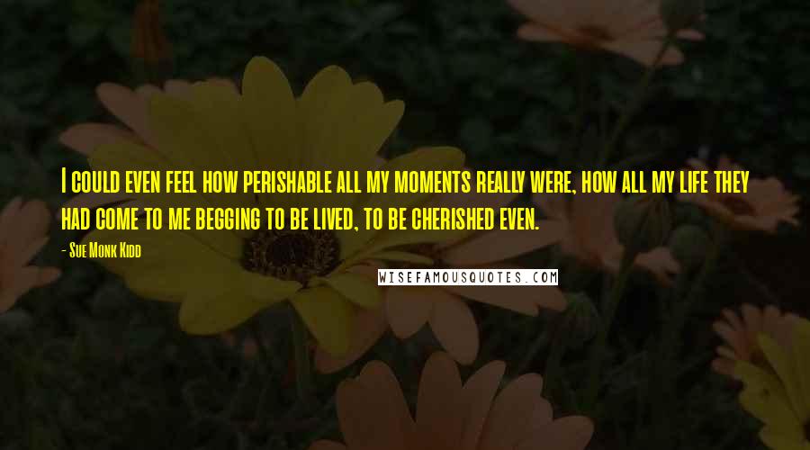 Sue Monk Kidd Quotes: I could even feel how perishable all my moments really were, how all my life they had come to me begging to be lived, to be cherished even.