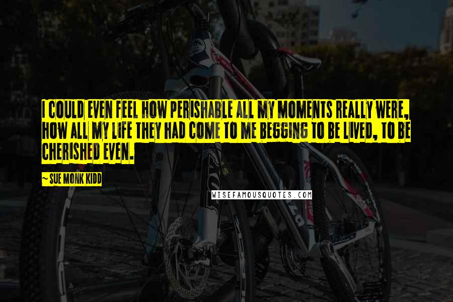 Sue Monk Kidd Quotes: I could even feel how perishable all my moments really were, how all my life they had come to me begging to be lived, to be cherished even.