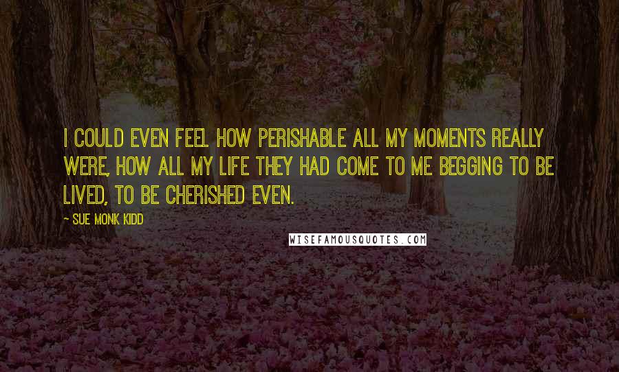 Sue Monk Kidd Quotes: I could even feel how perishable all my moments really were, how all my life they had come to me begging to be lived, to be cherished even.