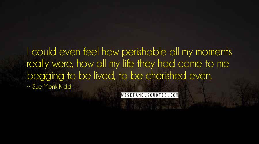 Sue Monk Kidd Quotes: I could even feel how perishable all my moments really were, how all my life they had come to me begging to be lived, to be cherished even.