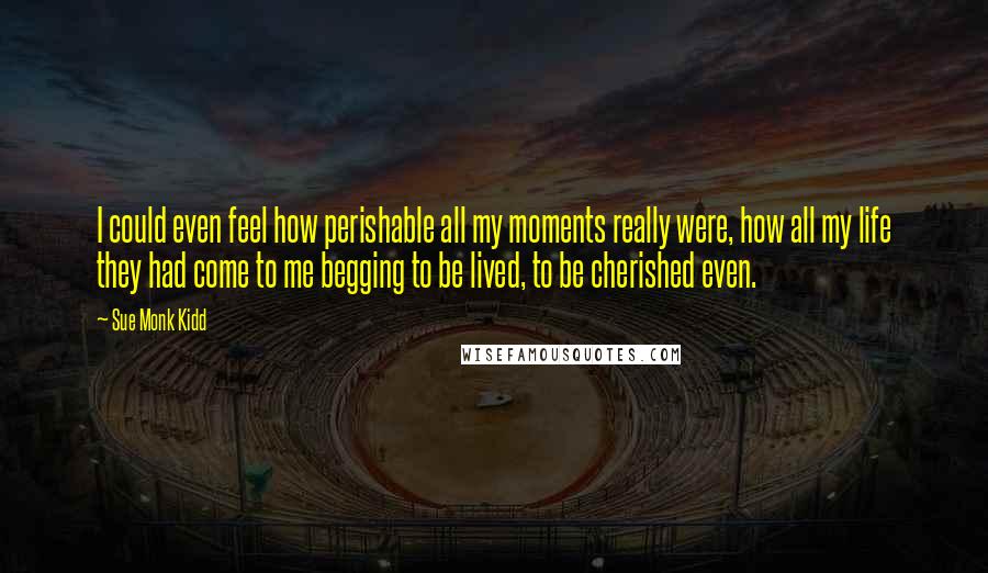 Sue Monk Kidd Quotes: I could even feel how perishable all my moments really were, how all my life they had come to me begging to be lived, to be cherished even.