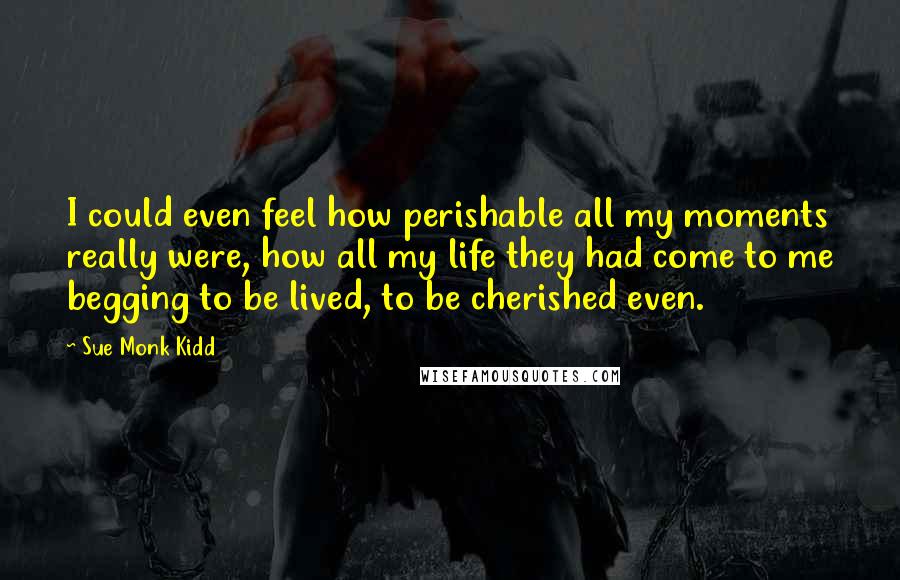 Sue Monk Kidd Quotes: I could even feel how perishable all my moments really were, how all my life they had come to me begging to be lived, to be cherished even.