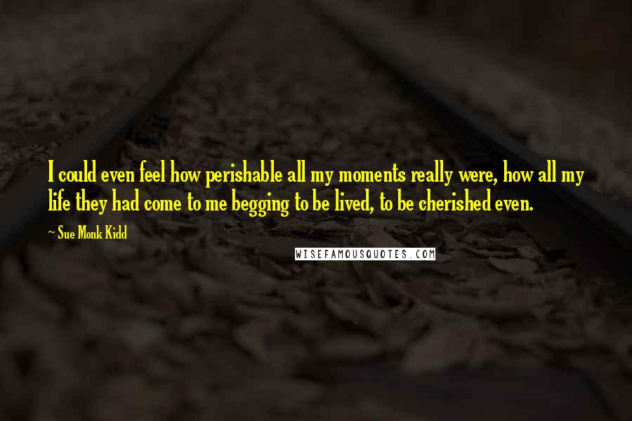 Sue Monk Kidd Quotes: I could even feel how perishable all my moments really were, how all my life they had come to me begging to be lived, to be cherished even.