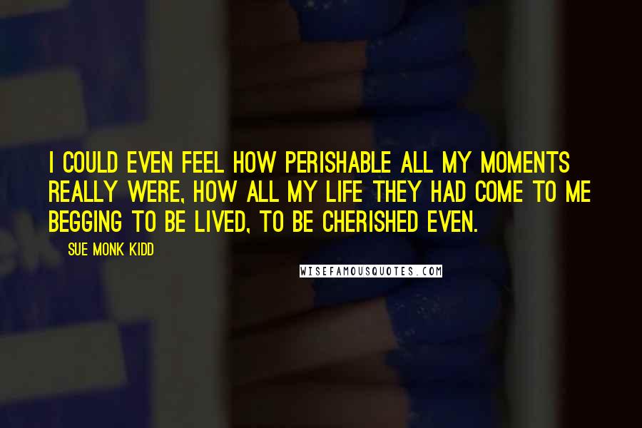 Sue Monk Kidd Quotes: I could even feel how perishable all my moments really were, how all my life they had come to me begging to be lived, to be cherished even.