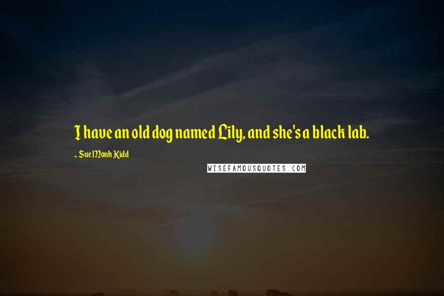 Sue Monk Kidd Quotes: I have an old dog named Lily, and she's a black lab.