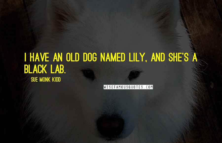 Sue Monk Kidd Quotes: I have an old dog named Lily, and she's a black lab.