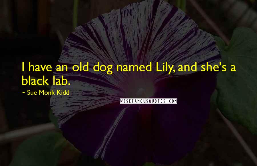 Sue Monk Kidd Quotes: I have an old dog named Lily, and she's a black lab.